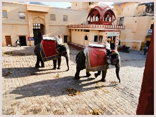 visite du Triangle d'Or avec excursion à dos d'éléphant au fort Amber