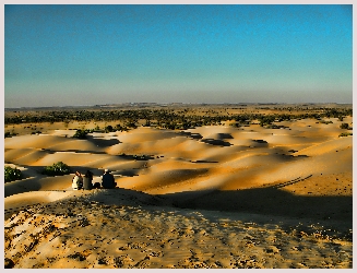 Désert du Thar Jaisalmer