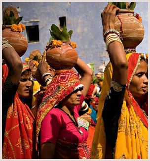 Camel fair fête du chameau rajasthan