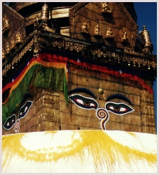 Pashupatinath temple in India Kathmandu Népal Himalaya